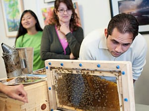Buzz6 Habitantes de Whittier observan de cerca una colonia de abejas.