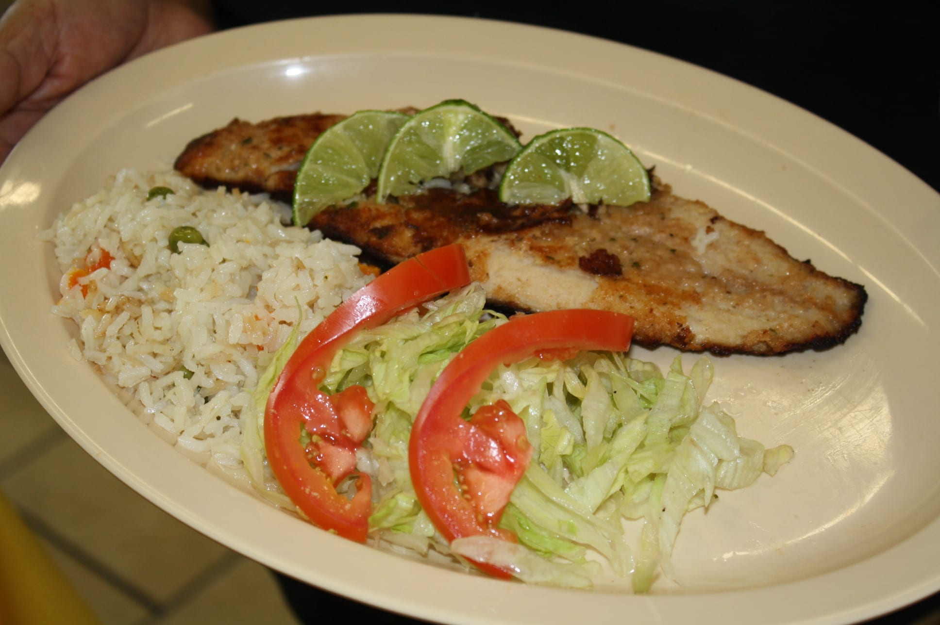 Filete de pescado con ensalda y arroz blanco. (Foto Agustín Durán/El Pasajero).