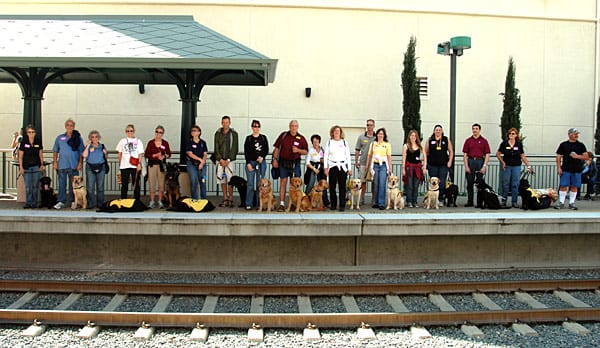 Criadores de perros guías de la organización “Guide Dogs of America” esperan el tren en la estación Del Mar de la Línea Dorada de Metro para viajar de regreso a Union Station después de una excursión en Pasadena en el año 2008. Agustín Moreno con Shadow su perro guía, segundo de la derecha, sirvieron de ejemplo a los compañeros caninos y a sus muy bien comportados entrenadores.  