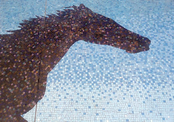 Adams horsehead 1
