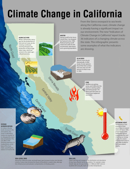 Infographic