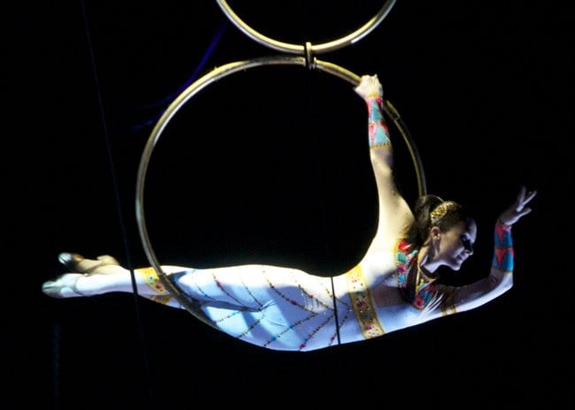 ringling bros33