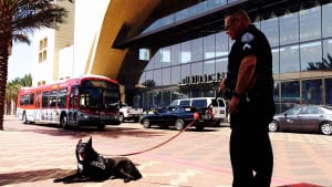 El agente Solis e Ivana en Union Station.