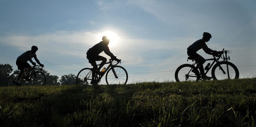bicicletas