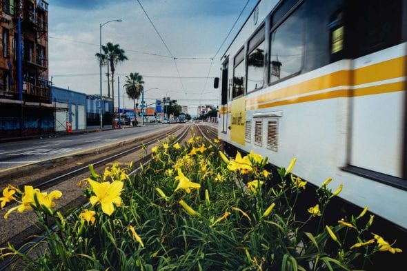 blueline9june2015-39-of-86-edit-edit-1024x682