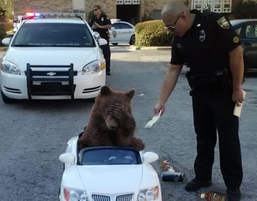 Que no les pase lo que a este muchacho. Celebren de manera responsable. Foto: davidwalace via Reddit.