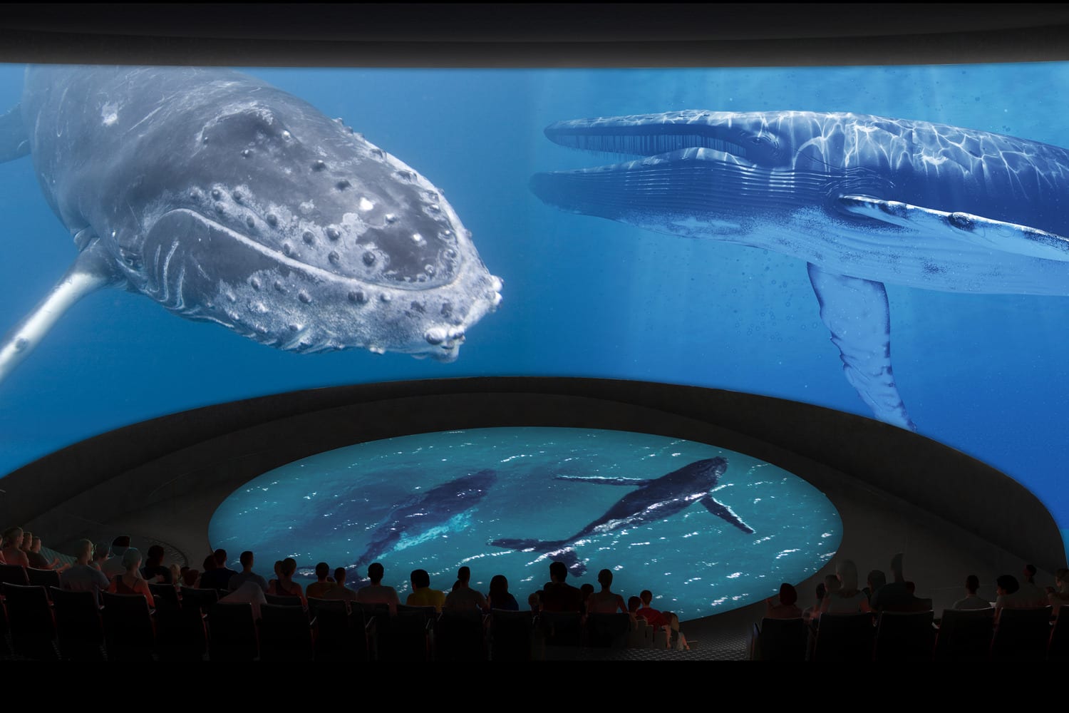 Acuario2