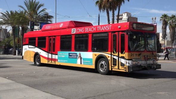 long beach transit