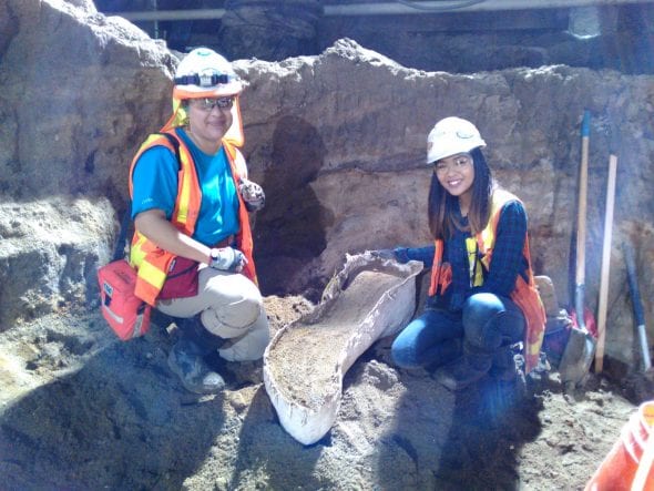 Trabajadores de Cogstone con los fósiles que descubrieron.